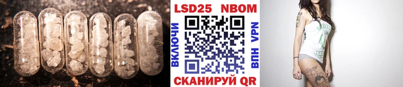 нарко площадка клад Новоузенск ЛСД экстази ecstasy