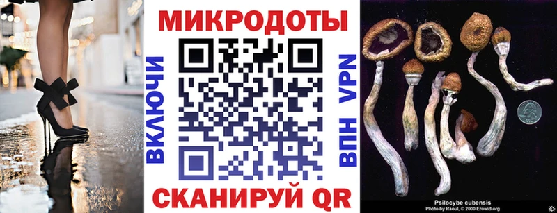 Псилоцибиновые грибы Magic Shrooms Новоузенск