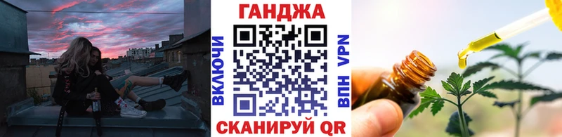 Каннабис сатива  где найти   Новоузенск 